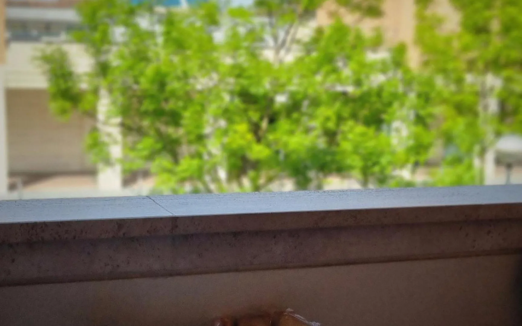 Apartmán Stazione - Centro Forlì